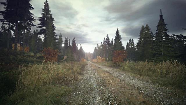 DayZ Screenshot 3
