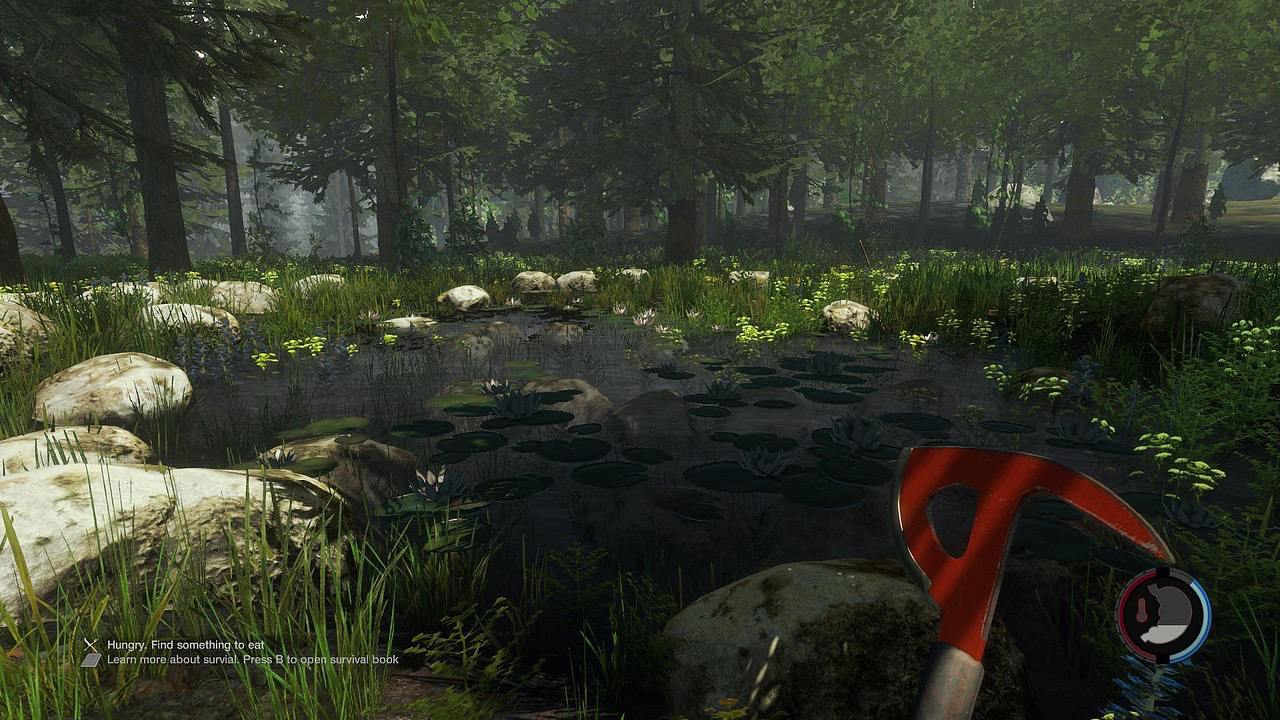 The Forest Screenshot 2