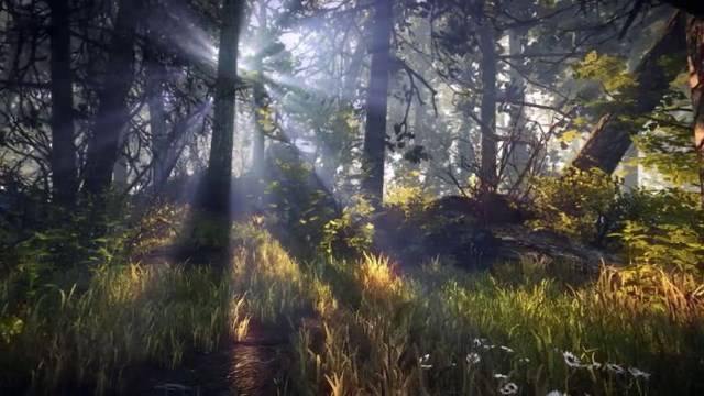 The Forest Screenshot 3